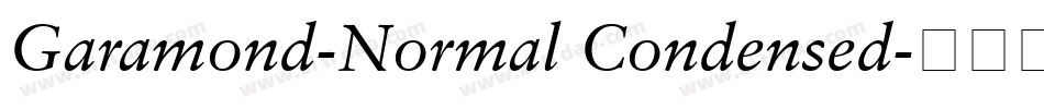 Garamond-Normal Condensed字体转换